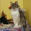 Отзыв от Марина Хохлова